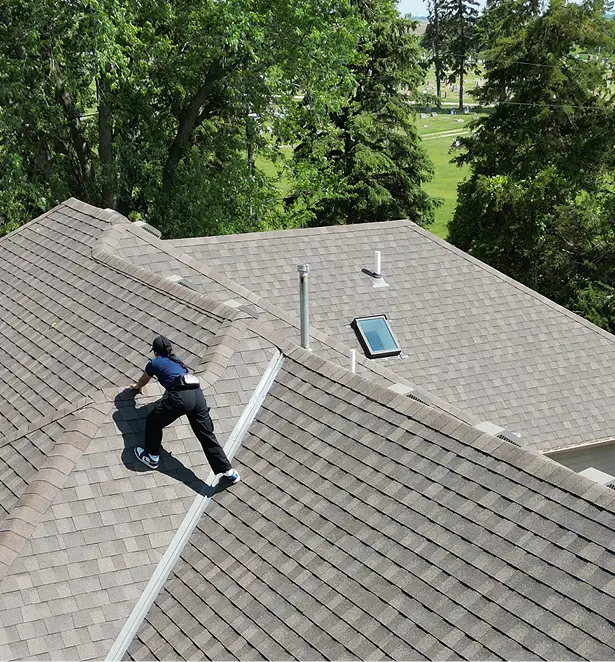 A person in work attire is on a large, brown shingled roof, surrounded by green trees and grass. The scene is bright and sunny.